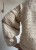 IMG_2361.jpeg