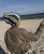 IMG_7392.jpeg