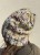 IMG_7944.jpeg