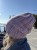 IMG_7478.jpeg