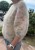 IMG_5696.jpeg