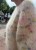 IMG_5700.jpeg