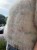 IMG_5701.jpeg