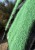 IMG_8203.jpeg