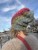 IMG_8462.jpeg