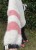 IMG_8697.jpeg