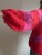 IMG_9189.jpeg