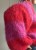 IMG_9190.jpeg