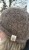 IMG_9431.jpeg