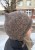 IMG_9429.jpeg