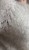 IMG_9455.jpeg