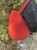 IMG_9784.jpeg