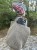 IMG_9803.jpeg