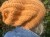 IMG_0082.jpeg