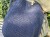 IMG_0256.jpeg