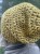 IMG_0185.jpeg