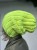 IMG_0307.jpeg
