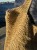 IMG_0614.jpeg