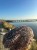 Messenger_creation_972BFA34-AC62-4617-A664-4AF16220DCE7.jpeg