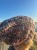 Messenger_creation_B4FF5989-6F4F-4F1C-A984-7914141AE3F6.jpeg