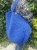 IMG_0387.jpeg